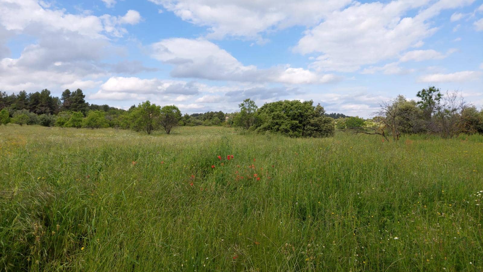 1 slaapkamer Finca/Landhuis te koop in Valderrobres - € 139.000 (Ref: 9094886)