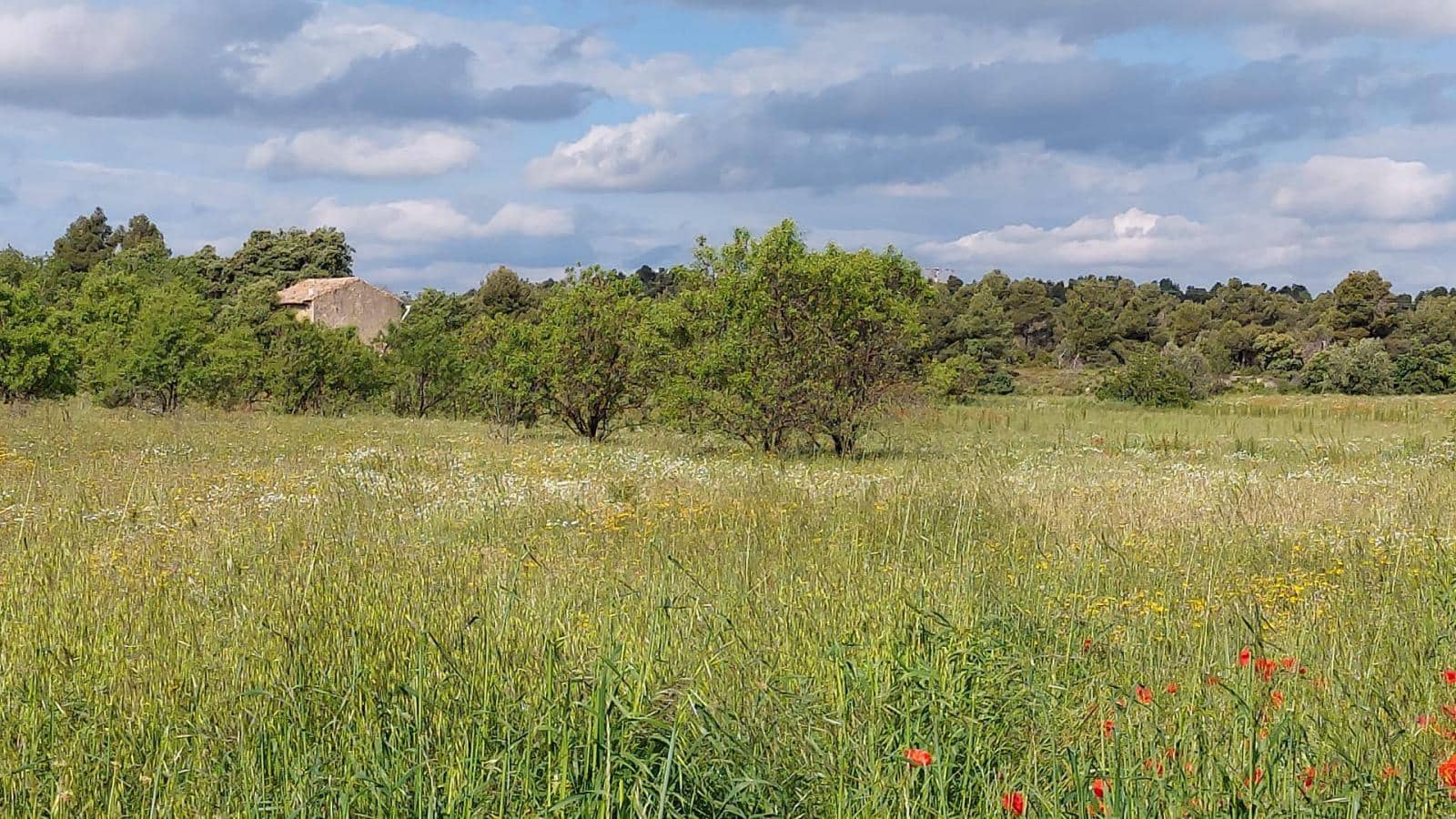 1 slaapkamer Finca/Landhuis te koop in Valderrobres - € 139.000 (Ref: 9094886)