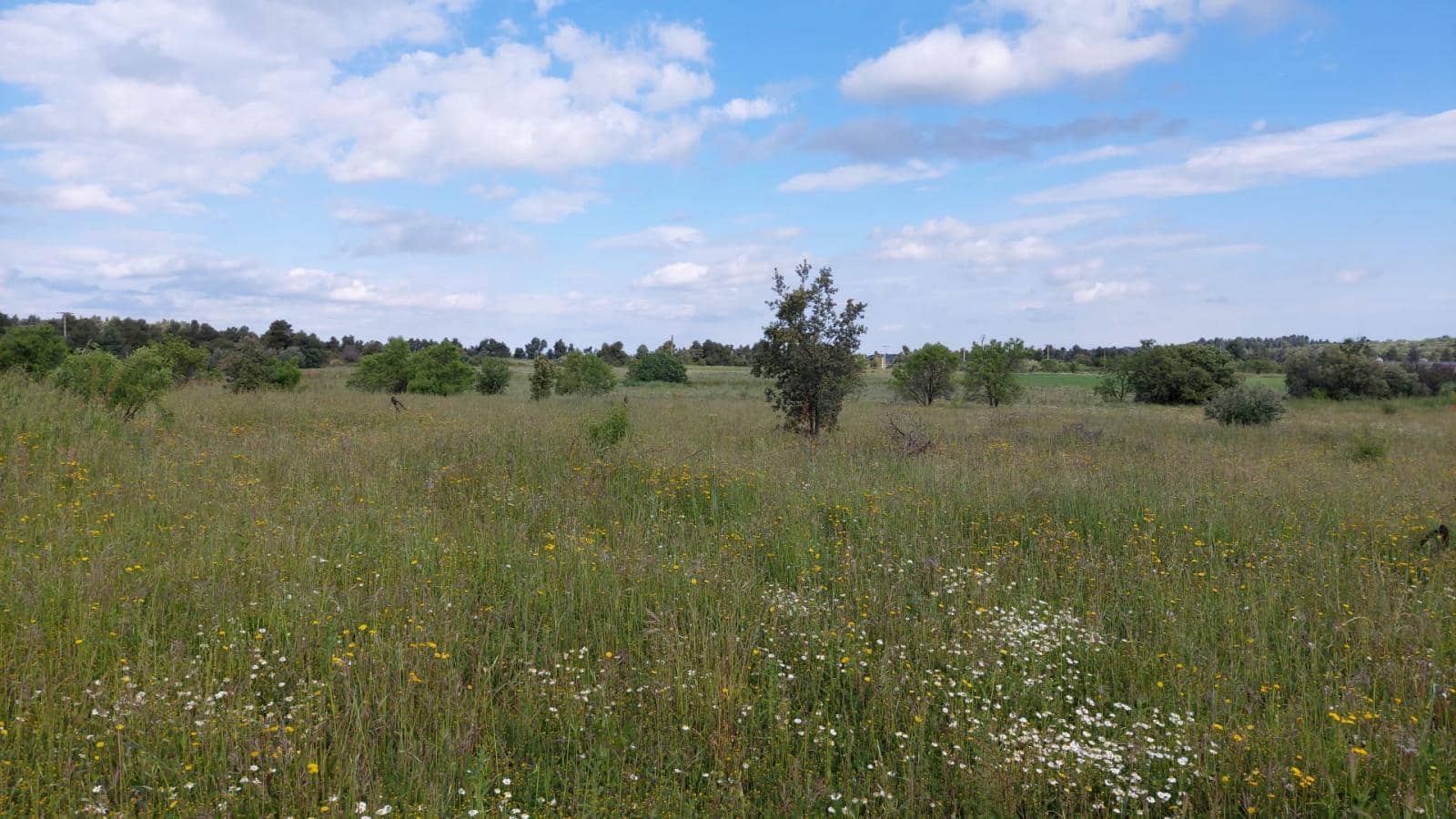 1 slaapkamer Finca/Landhuis te koop in Valderrobres - € 139.000 (Ref: 9094886)