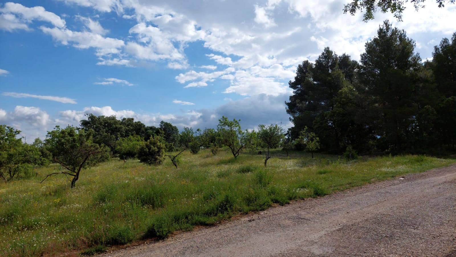 1 slaapkamer Finca/Landhuis te koop in Valderrobres - € 139.000 (Ref: 9094886)