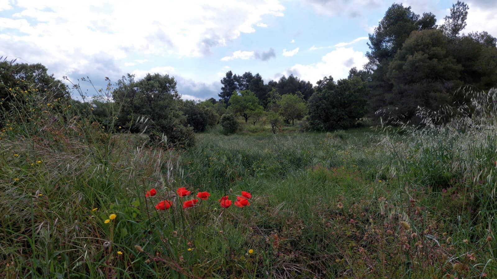 1 slaapkamer Finca/Landhuis te koop in Valderrobres - € 139.000 (Ref: 9094886)