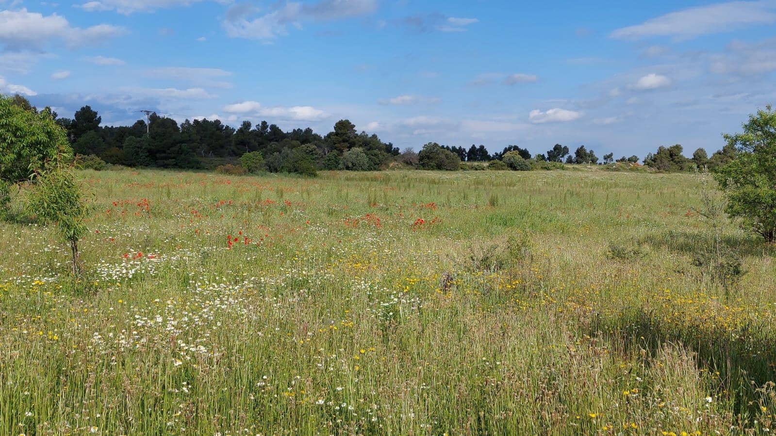 1 slaapkamer Finca/Landhuis te koop in Valderrobres - € 139.000 (Ref: 9094886)