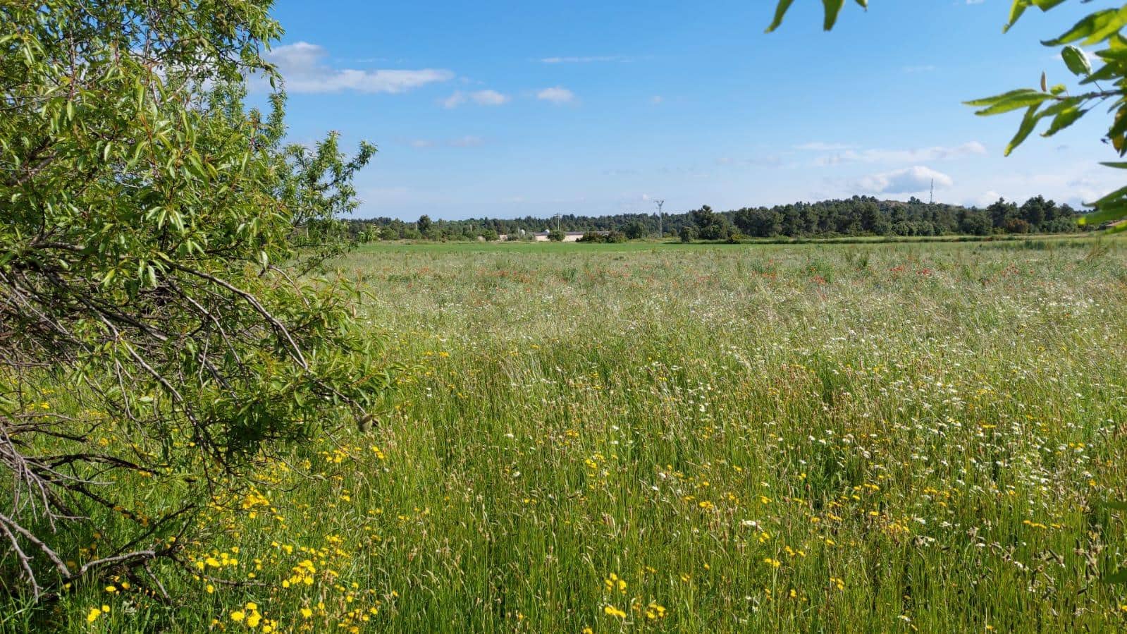 1 slaapkamer Finca/Landhuis te koop in Valderrobres - € 139.000 (Ref: 9094886)