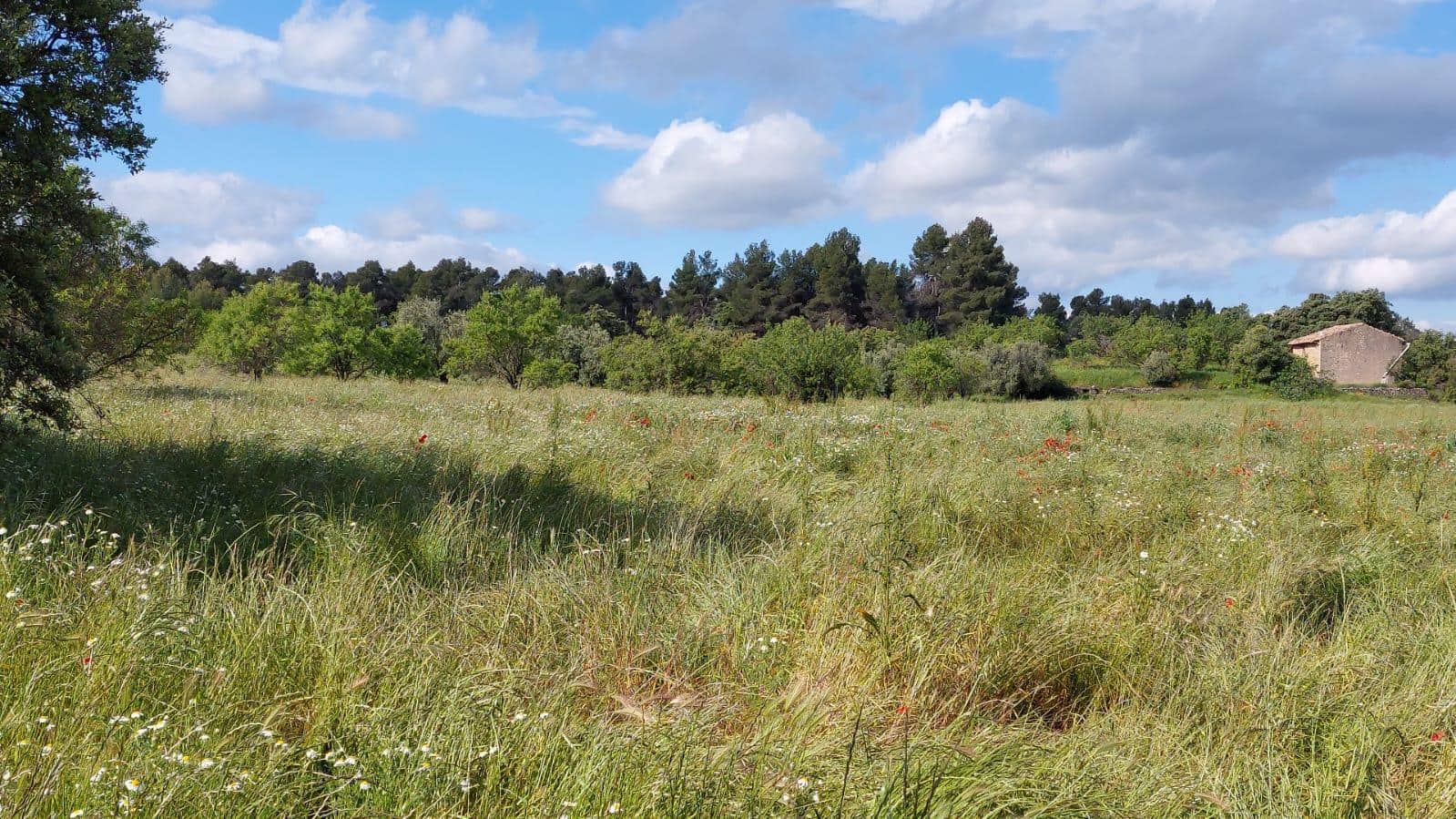 1 slaapkamer Finca/Landhuis te koop in Valderrobres - € 139.000 (Ref: 9094886)