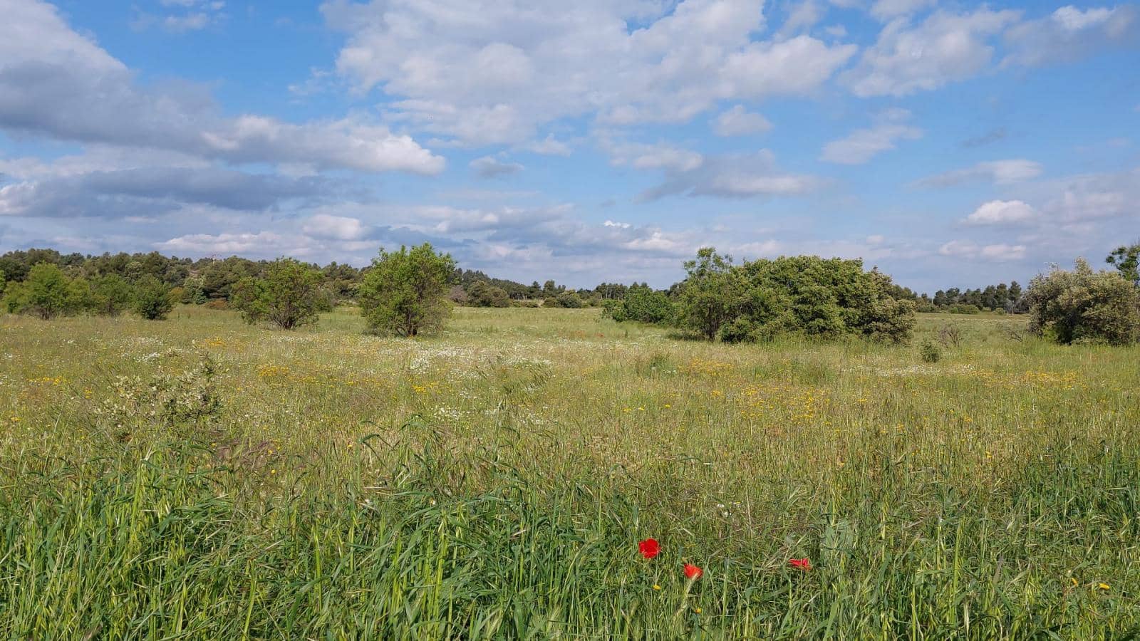 1 slaapkamer Finca/Landhuis te koop in Valderrobres - € 139.000 (Ref: 9094886)