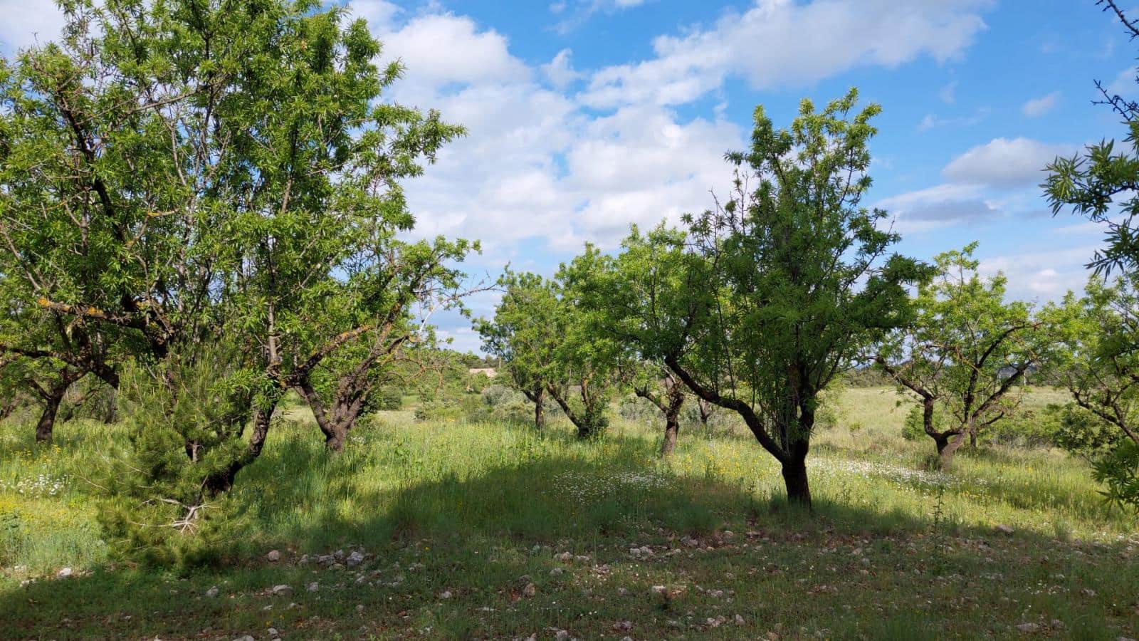 1 slaapkamer Finca/Landhuis te koop in Valderrobres - € 139.000 (Ref: 9094886)