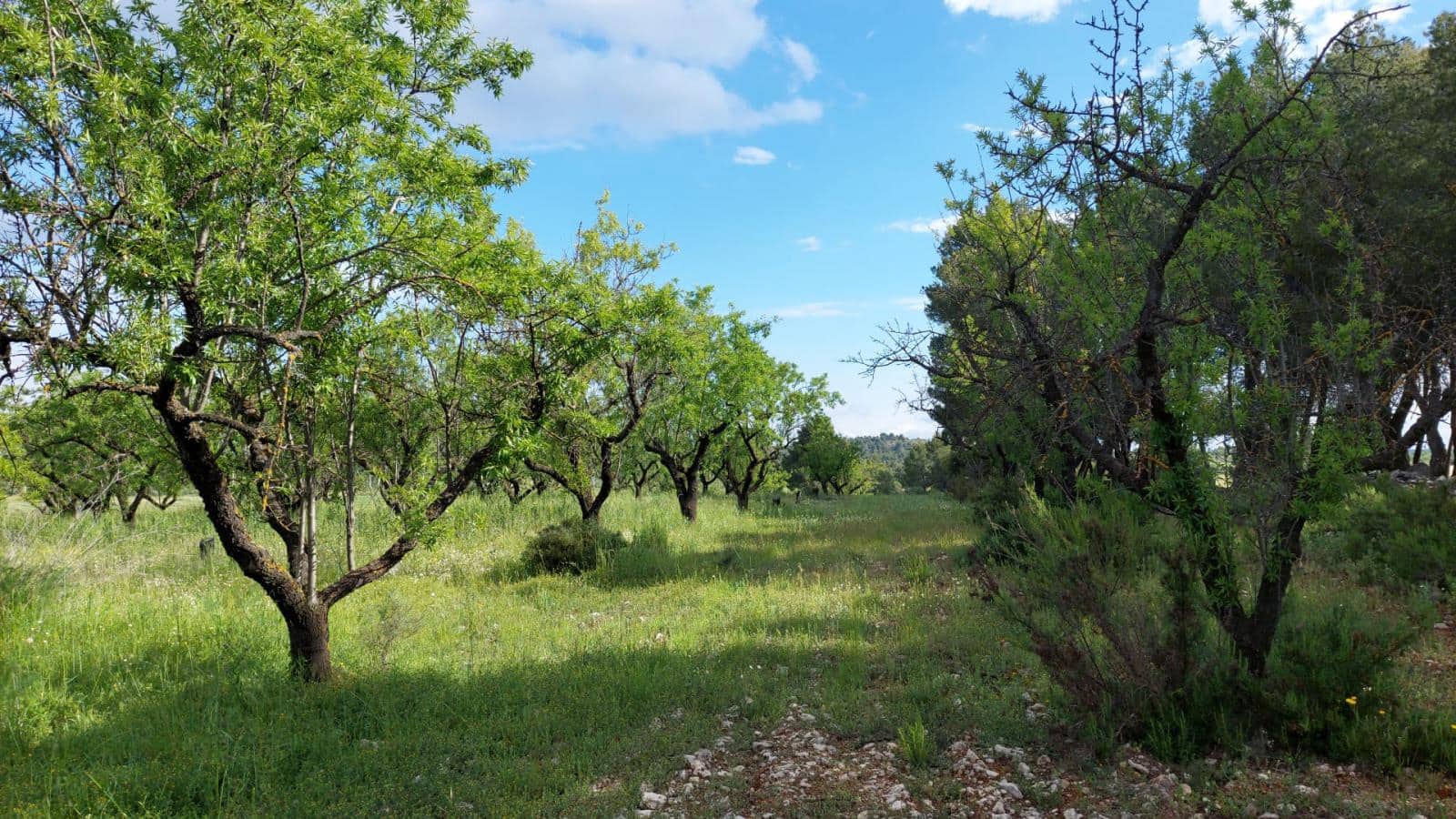 1 slaapkamer Finca/Landhuis te koop in Valderrobres - € 139.000 (Ref: 9094886)