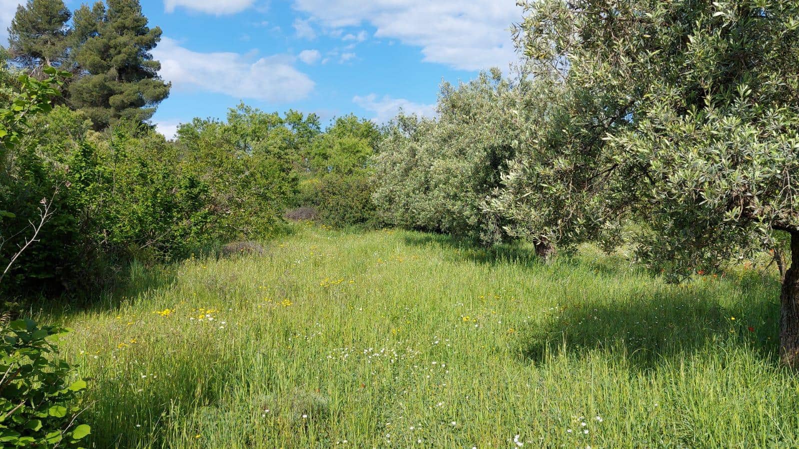 1 slaapkamer Finca/Landhuis te koop in Valderrobres - € 139.000 (Ref: 9094886)