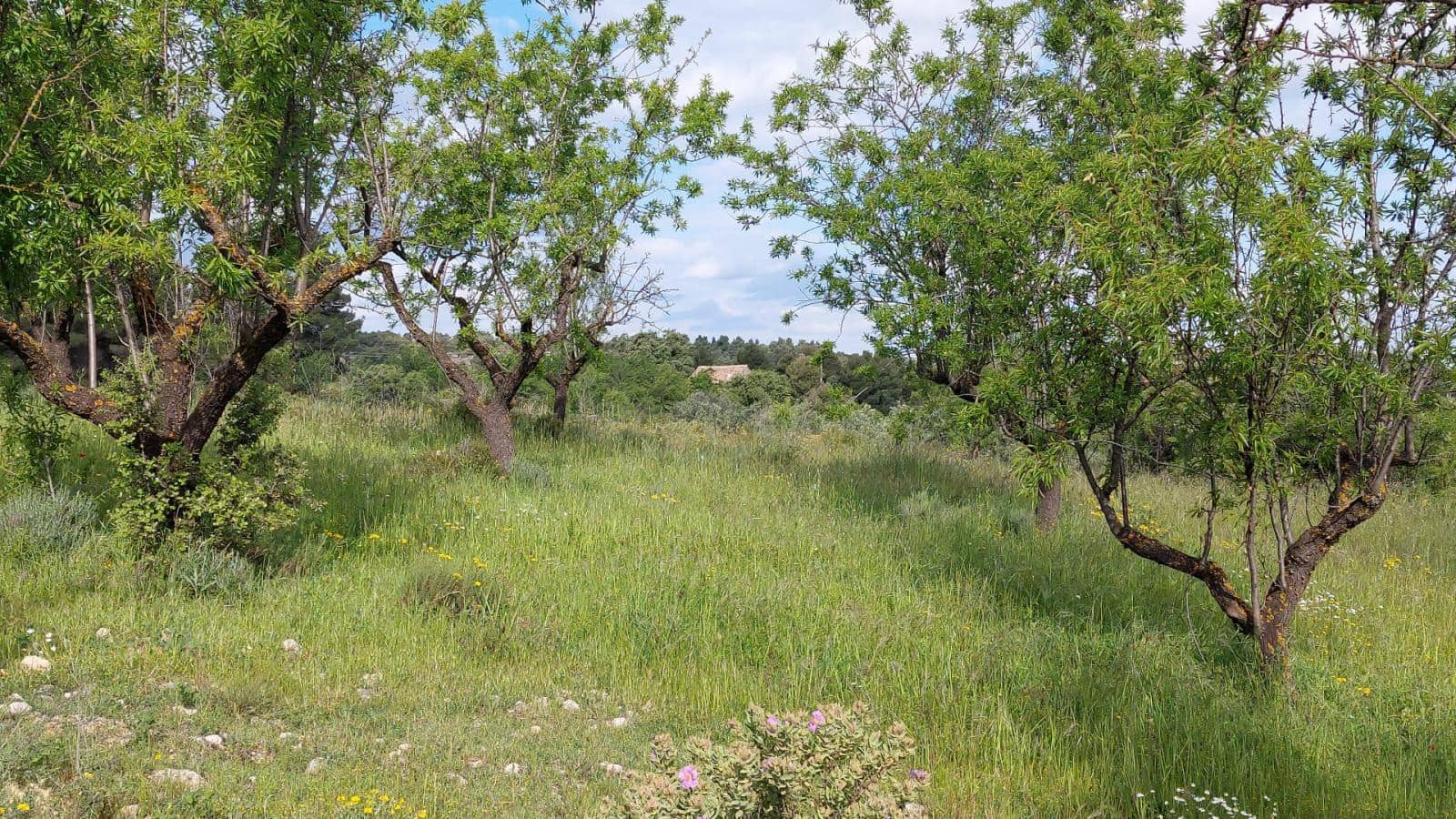 1 slaapkamer Finca/Landhuis te koop in Valderrobres - € 139.000 (Ref: 9094886)