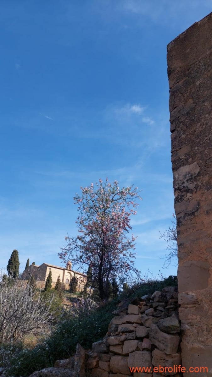 1 soveværelse Finca/Landehus til salg i Arens de Lledo - € 160.000 (Ref: 9094887)