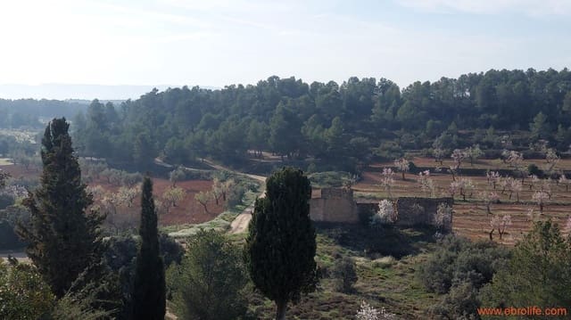 1 Zimmer Finca/Landgut zu verkaufen in Arens de Lledó - 160.000 € (Ref: 9094887)