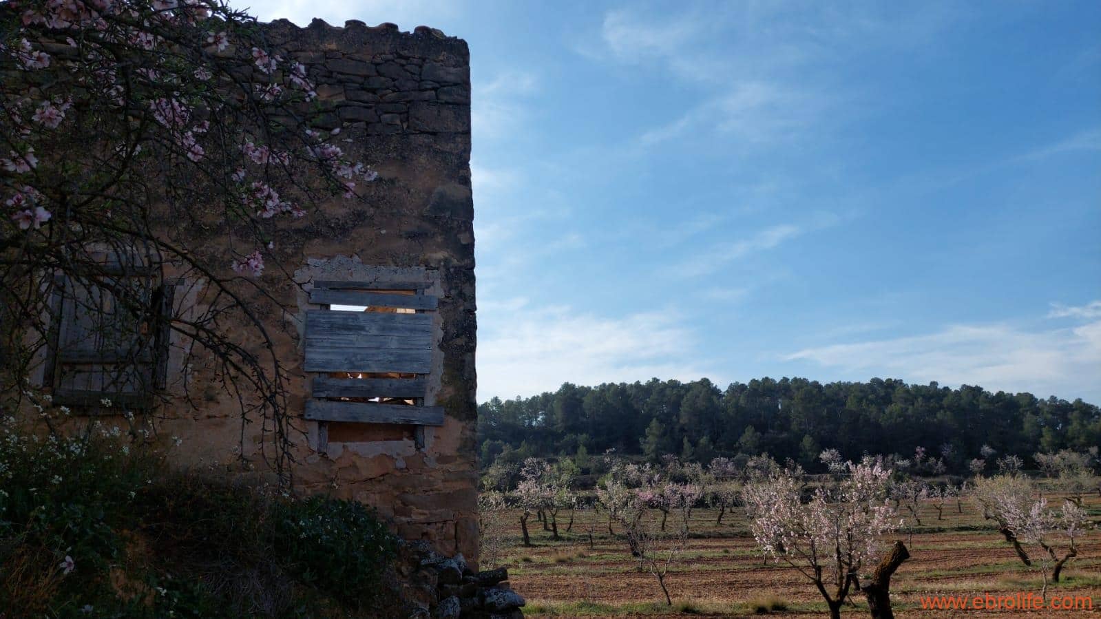 1 soveværelse Finca/Landehus til salg i Arens de Lledo - € 160.000 (Ref: 9094887)