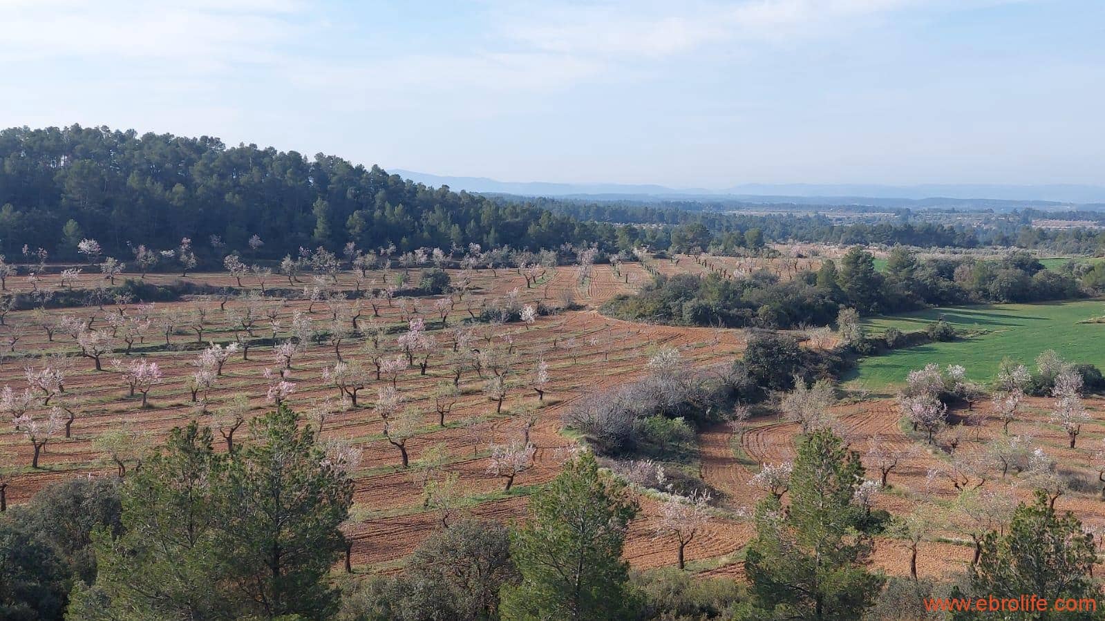 1 soveværelse Finca/Landehus til salg i Arens de Lledo - € 160.000 (Ref: 9094887)