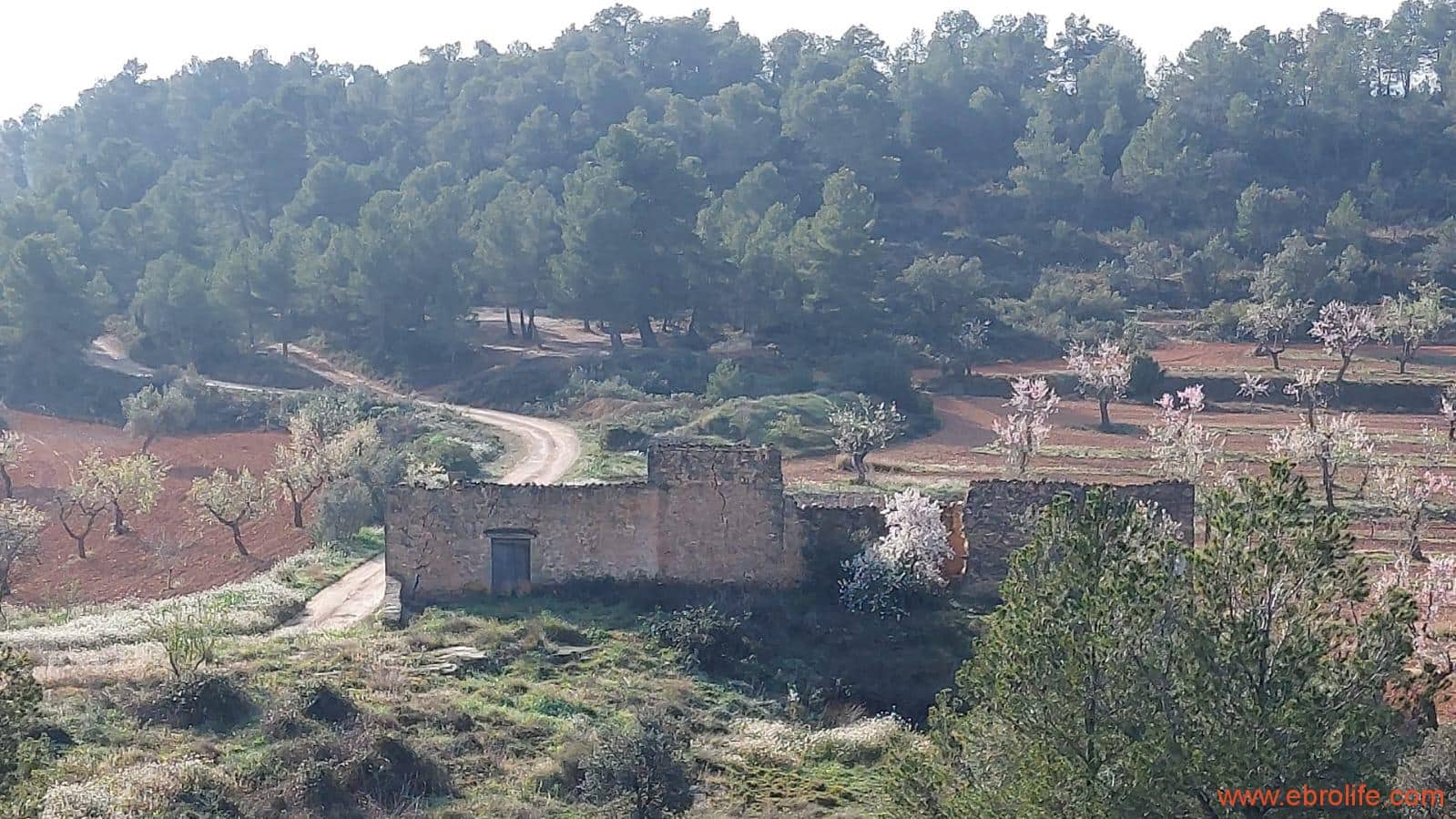 1 soveværelse Finca/Landehus til salg i Arens de Lledo - € 160.000 (Ref: 9094887)