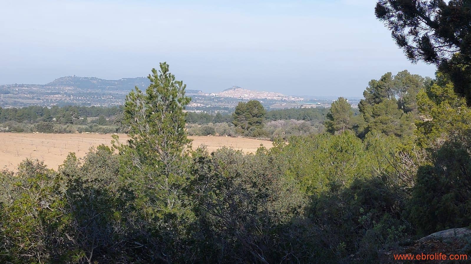 1 soveværelse Finca/Landehus til salg i Arens de Lledo - € 160.000 (Ref: 9094887)