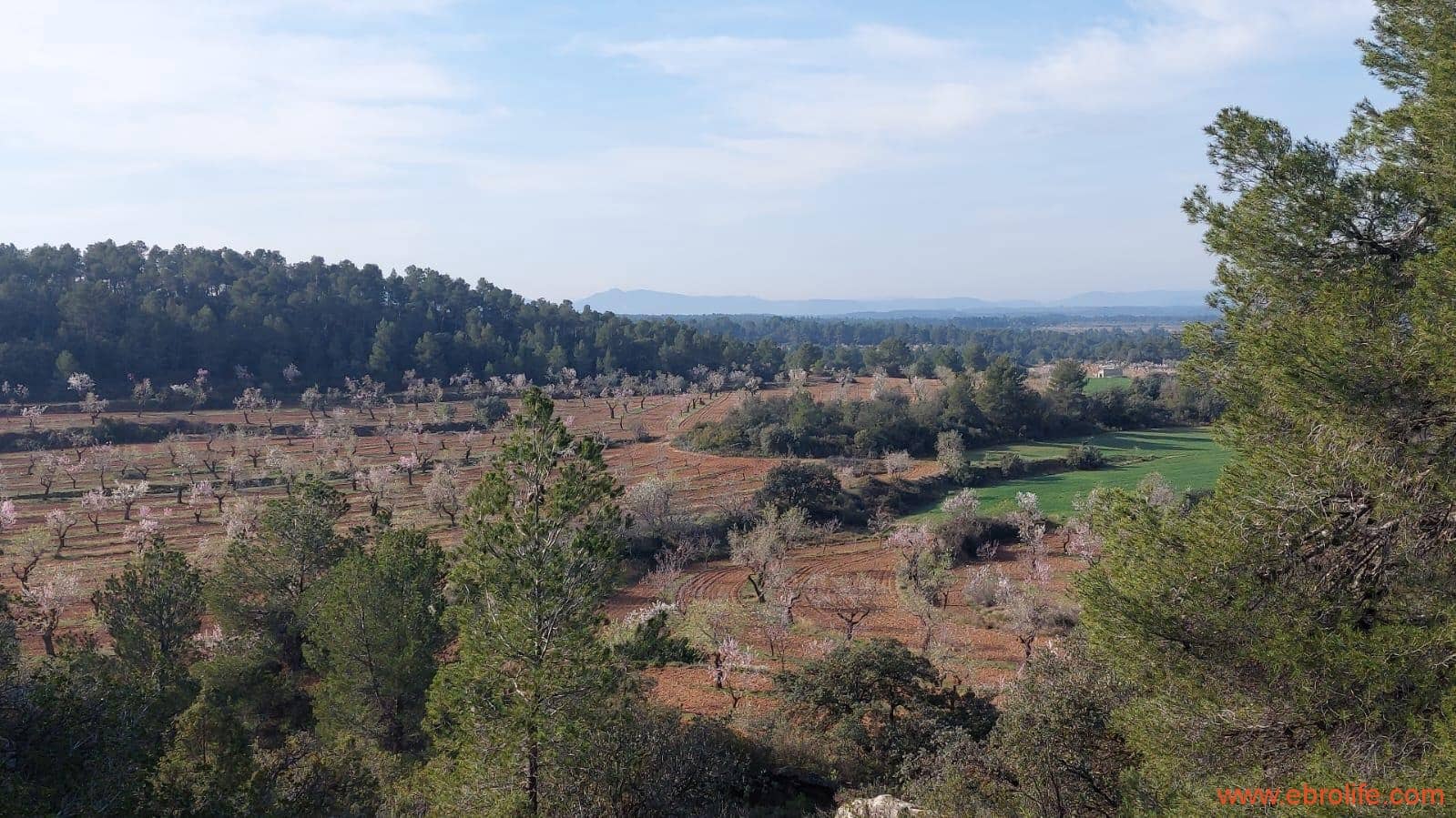 1 soveværelse Finca/Landehus til salg i Arens de Lledo - € 160.000 (Ref: 9094887)