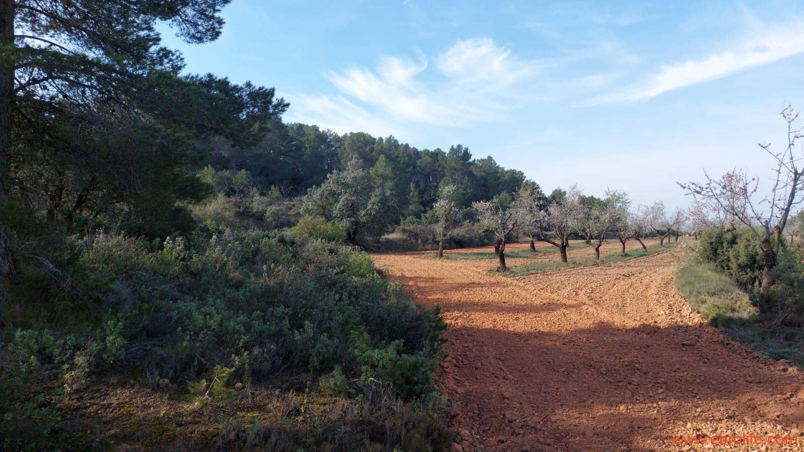 1 soveværelse Finca/Landehus til salg i Arens de Lledo - € 160.000 (Ref: 9094887)