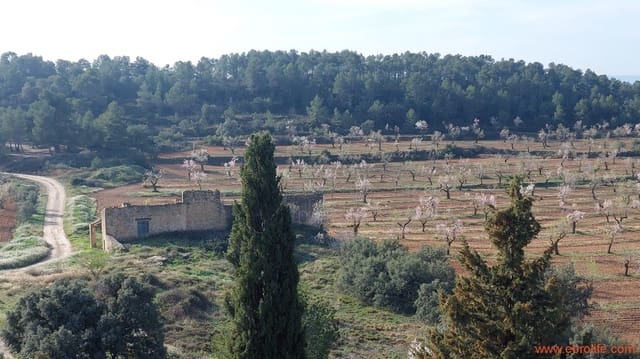 1 Zimmer Finca/Landgut zu verkaufen in Arens de Lledó - 160.000 € (Ref: 9094887)