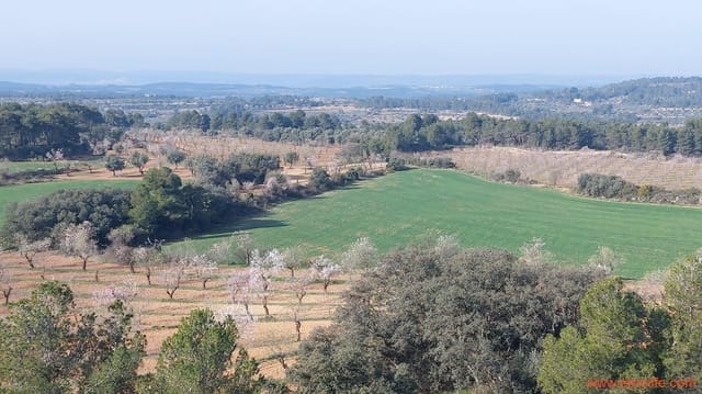 1 Zimmer Finca/Landgut zu verkaufen in Arens de Lledó - 160.000 € (Ref: 9094887)