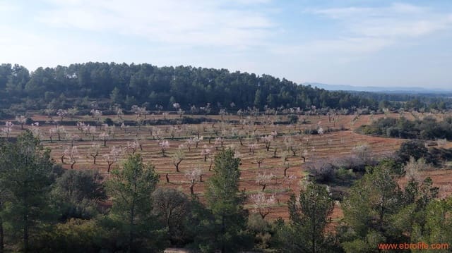 1 Zimmer Finca/Landgut zu verkaufen in Arens de Lledó - 160.000 € (Ref: 9094887)