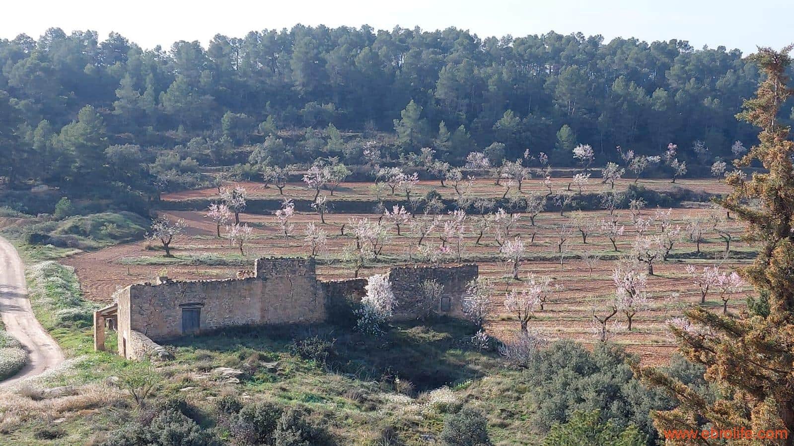 1 soveværelse Finca/Landehus til salg i Arens de Lledo - € 160.000 (Ref: 9094887)