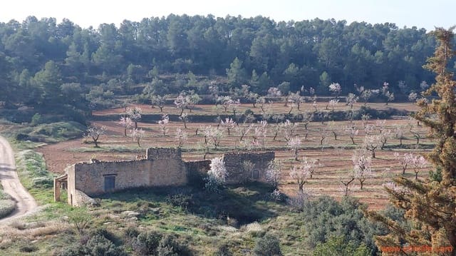 1 Zimmer Finca/Landgut zu verkaufen in Arens de Lledó - 160.000 € (Ref: 9094887)