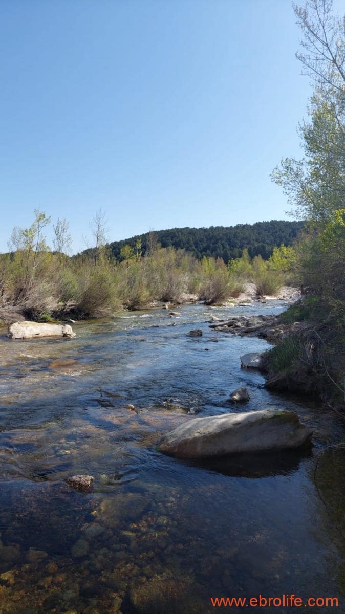 1 camera da letto Finca/Casa di Campagna in vendita in Torre del Compte - 450.000 € (Rif: 9095013)