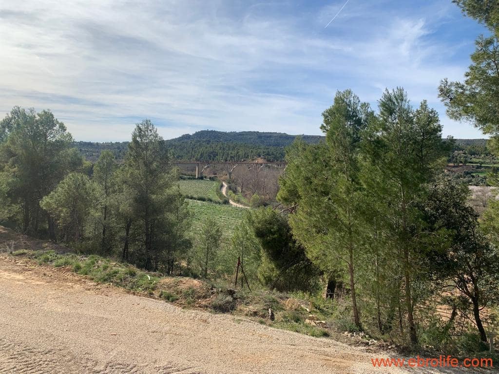 1 camera da letto Finca/Casa di Campagna in vendita in Torre del Compte - 450.000 € (Rif: 9095013)