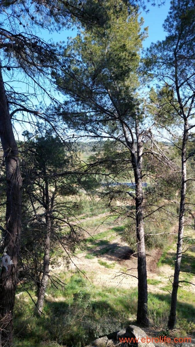 1 camera da letto Finca/Casa di Campagna in vendita in Torre del Compte - 450.000 € (Rif: 9095013)