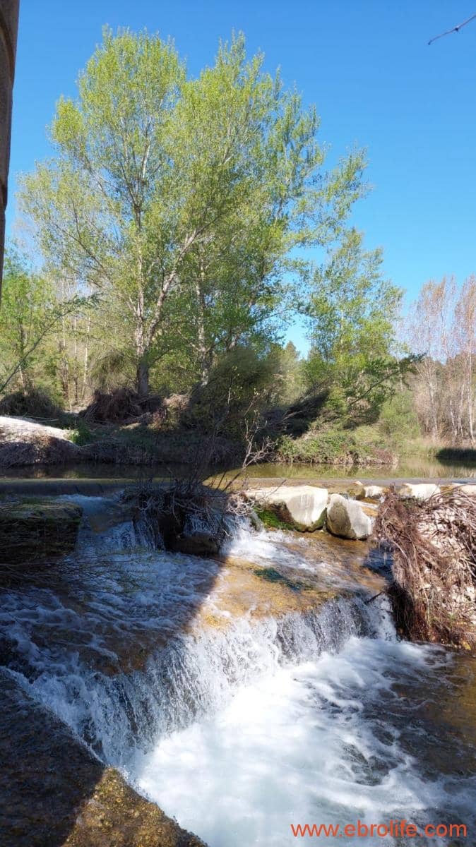 1 camera da letto Finca/Casa di Campagna in vendita in Torre del Compte - 450.000 € (Rif: 9095013)