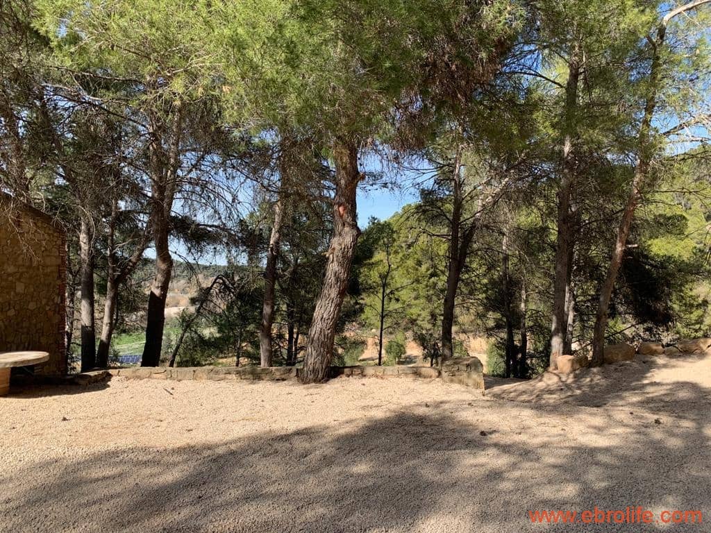 1 camera da letto Finca/Casa di Campagna in vendita in Torre del Compte - 450.000 € (Rif: 9095013)