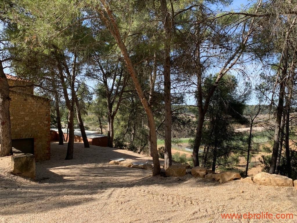 1 camera da letto Finca/Casa di Campagna in vendita in Torre del Compte - 450.000 € (Rif: 9095013)
