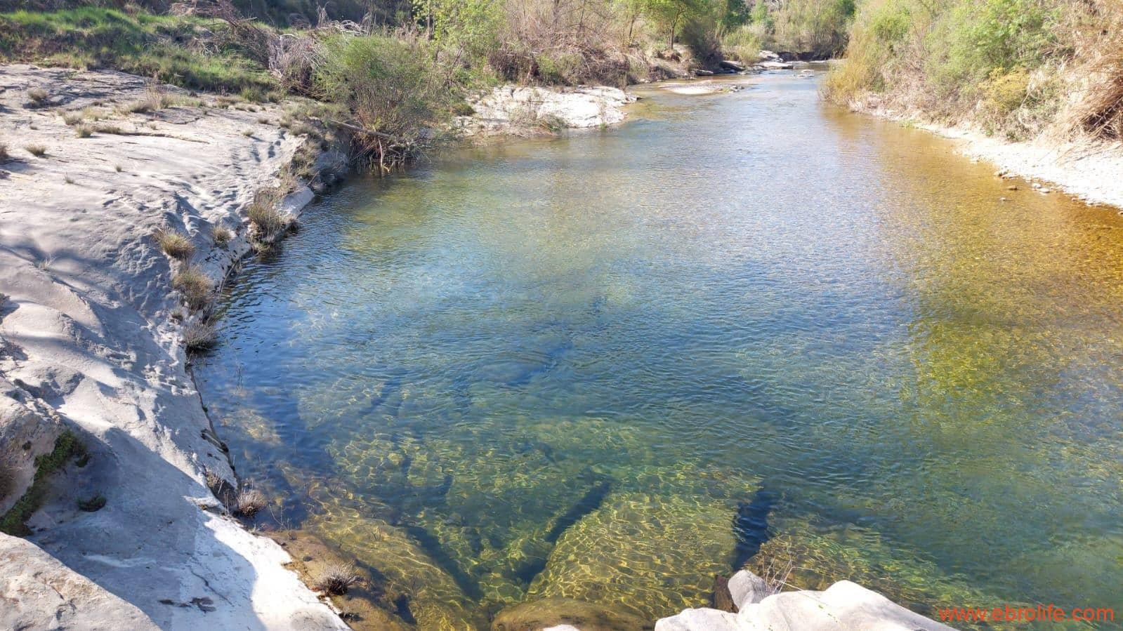 1 camera da letto Finca/Casa di Campagna in vendita in Torre del Compte - 450.000 € (Rif: 9095013)