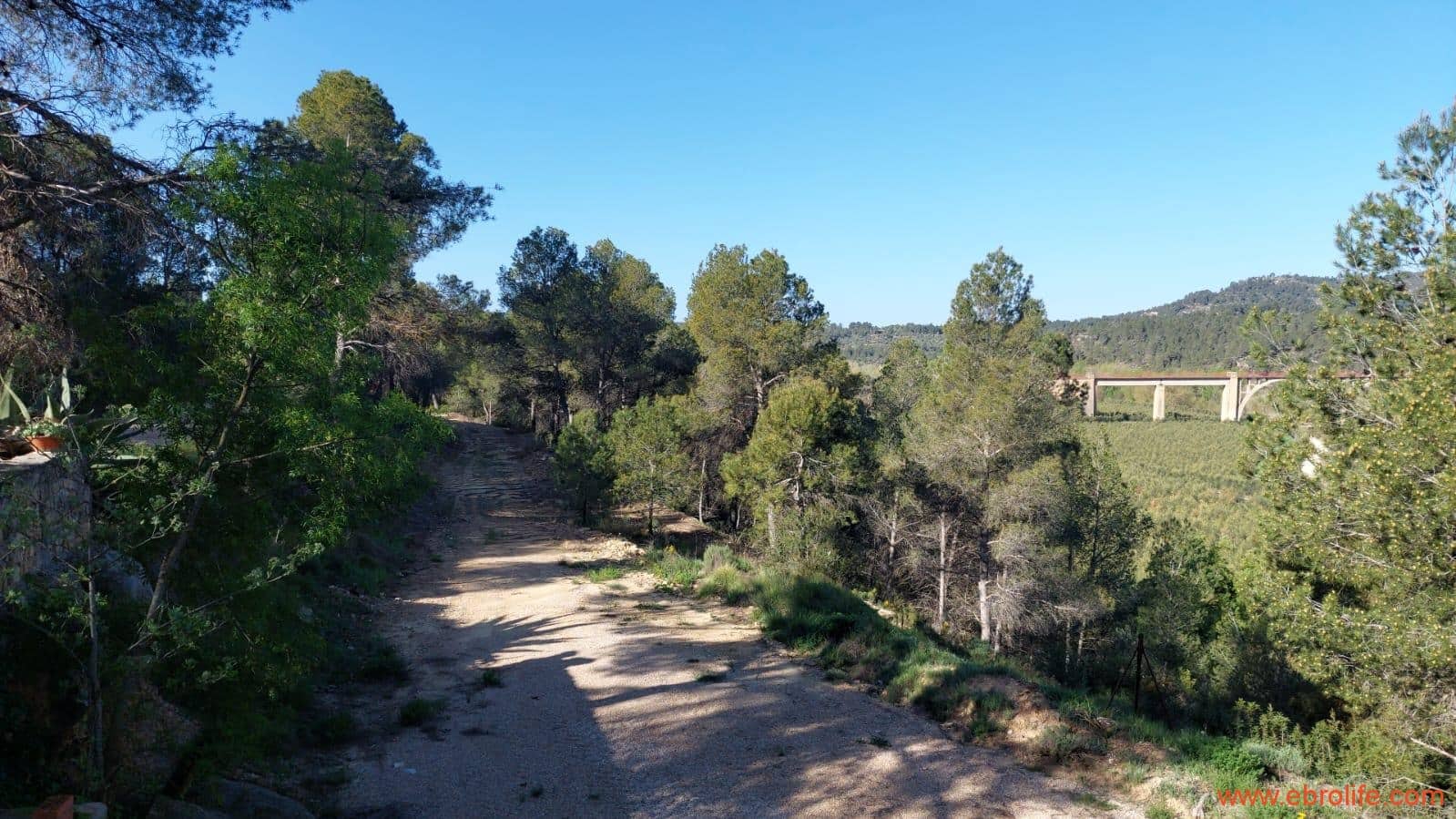 1 camera da letto Finca/Casa di Campagna in vendita in Torre del Compte - 450.000 € (Rif: 9095013)