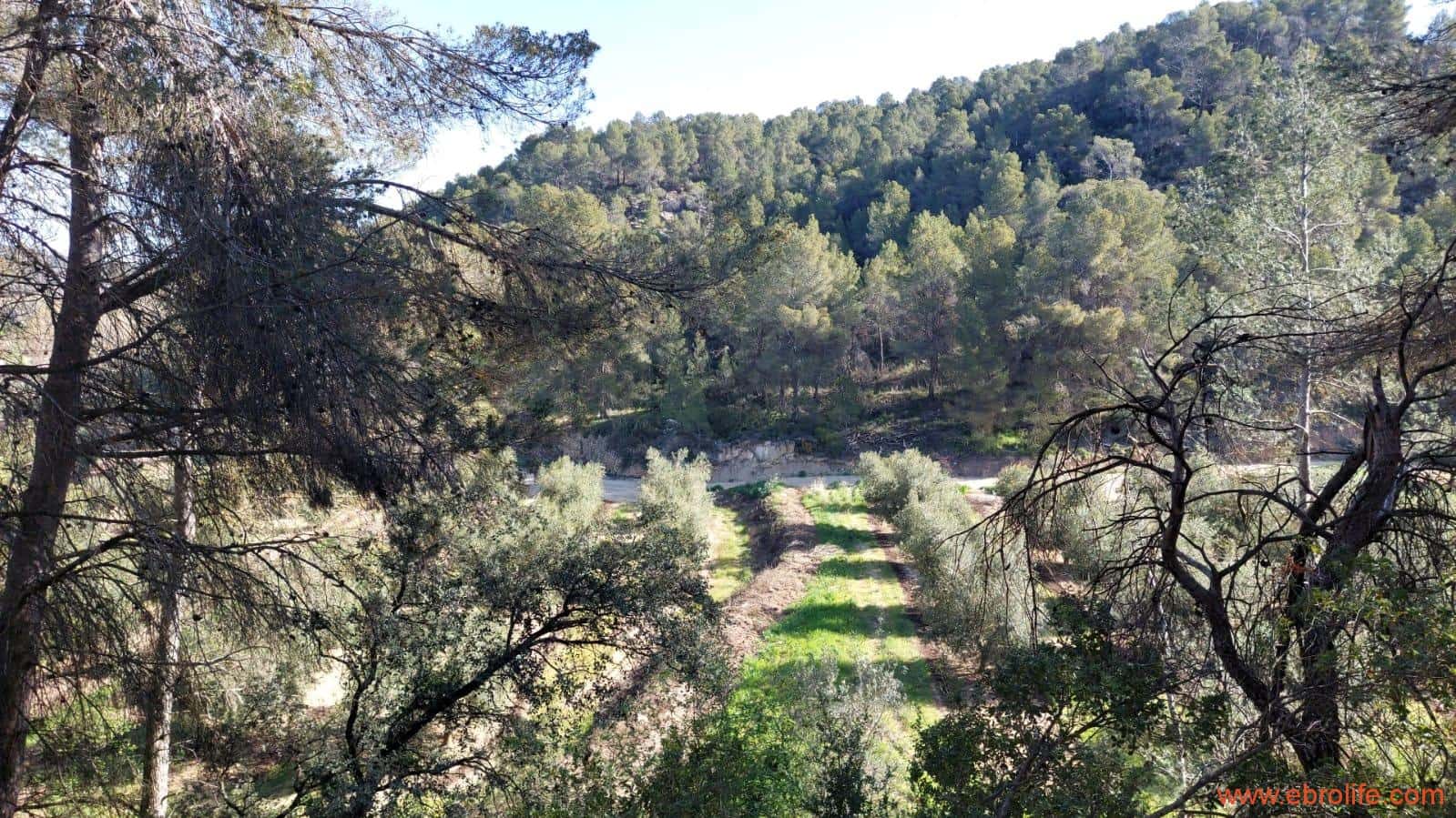 1 camera da letto Finca/Casa di Campagna in vendita in Torre del Compte - 450.000 € (Rif: 9095013)