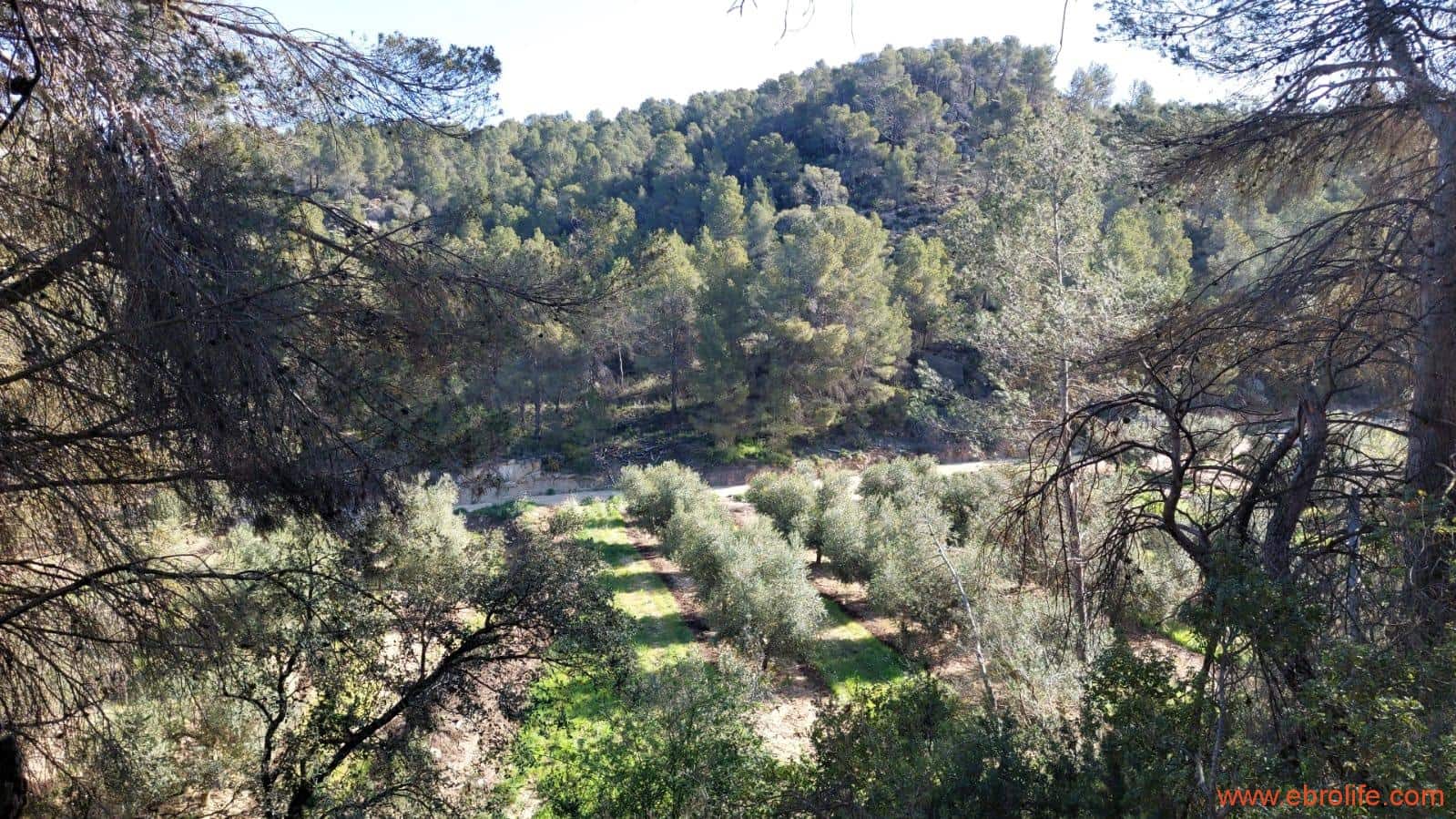 1 camera da letto Finca/Casa di Campagna in vendita in Torre del Compte - 450.000 € (Rif: 9095013)