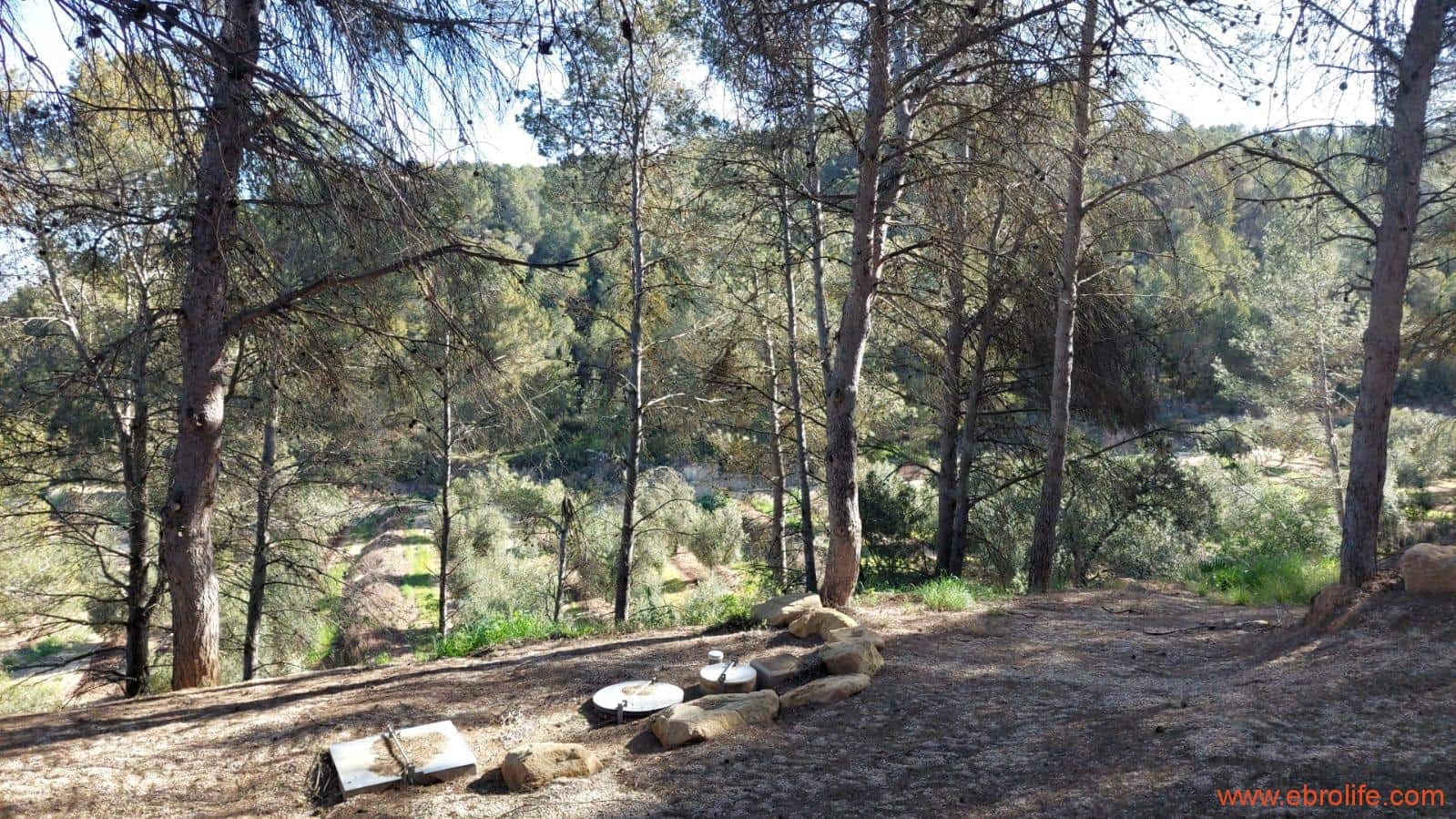 1 camera da letto Finca/Casa di Campagna in vendita in Torre del Compte - 450.000 € (Rif: 9095013)