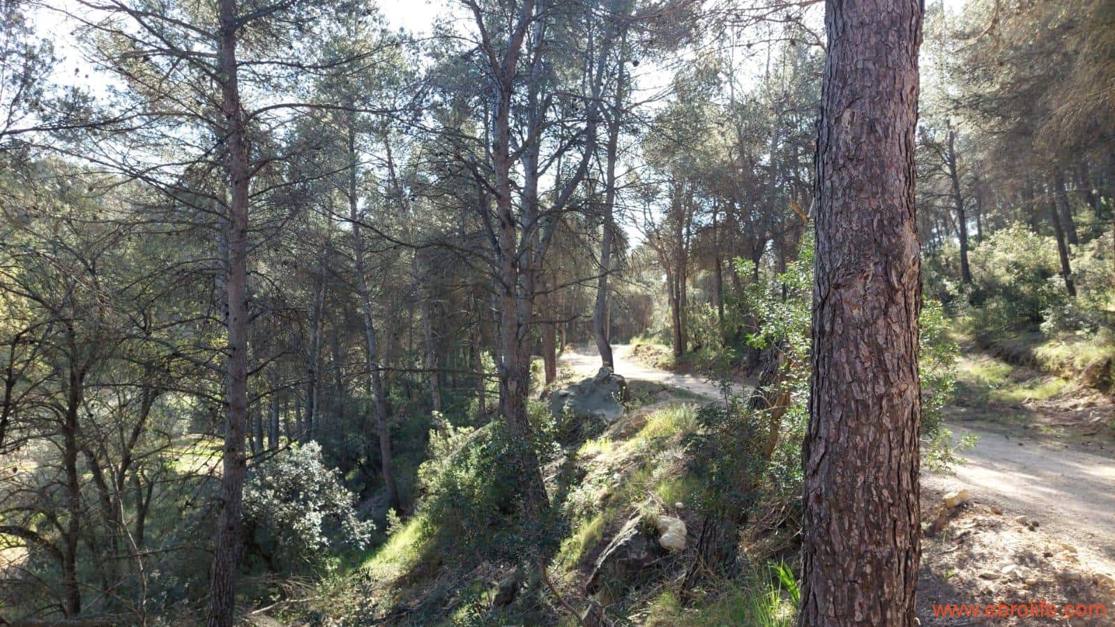 1 camera da letto Finca/Casa di Campagna in vendita in Torre del Compte - 450.000 € (Rif: 9095013)