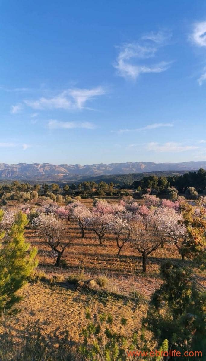 1 soveværelse Finca/Landehus til salg i Arens de Lledo - € 135.000 (Ref: 9095014)