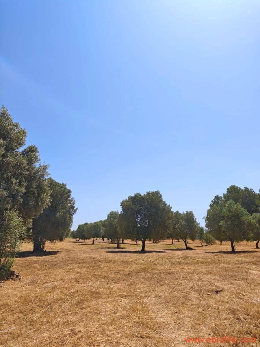 1 soveværelse Finca/Landehus til salg i Arens de Lledo - € 135.000 (Ref: 9095014)