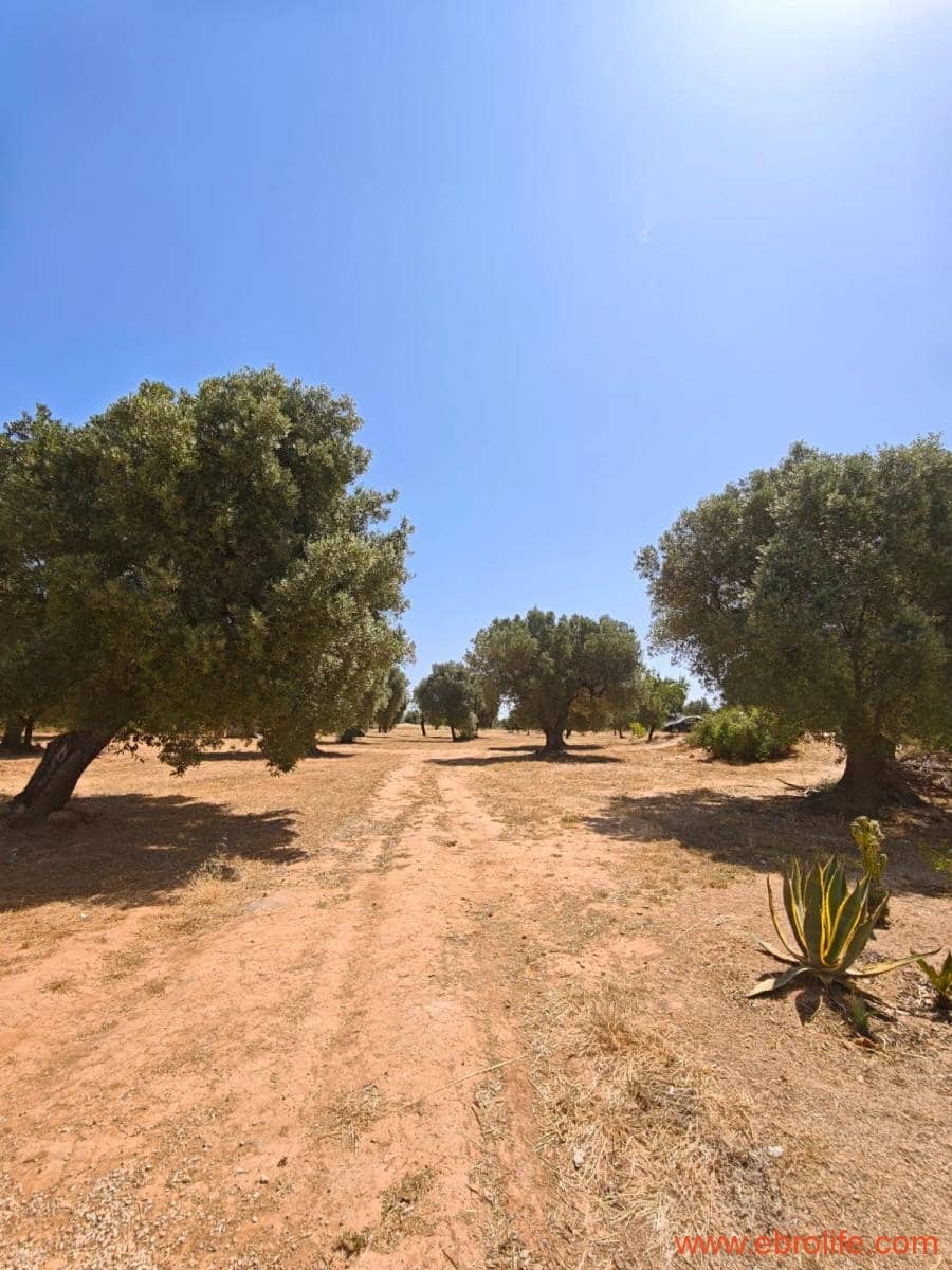 1 soveværelse Finca/Landehus til salg i Arens de Lledo - € 135.000 (Ref: 9095014)