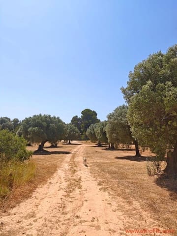 1 soveværelse Finca/Landehus til salg i Arens de Lledó - € 135.000 (Ref: 9095014)