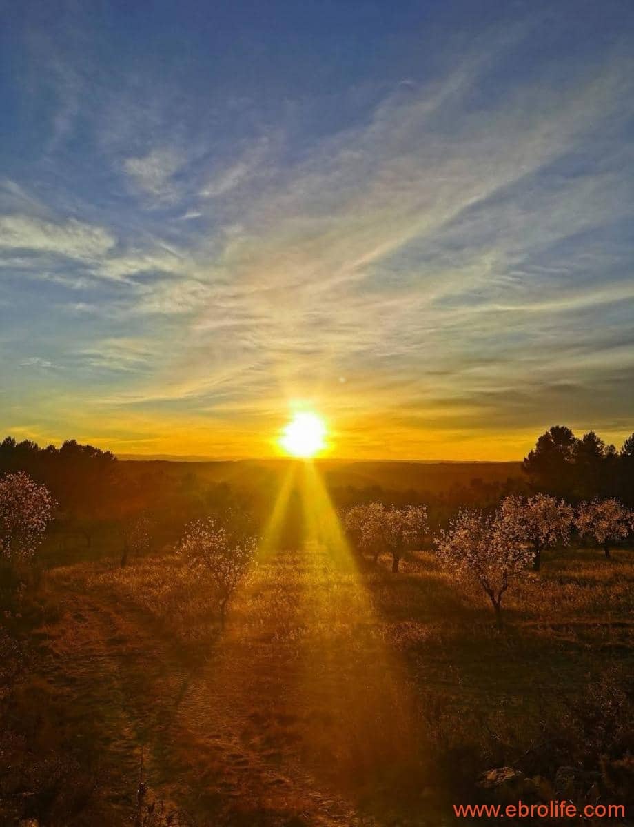 1 soveværelse Finca/Landehus til salg i Arens de Lledo - € 135.000 (Ref: 9095014)