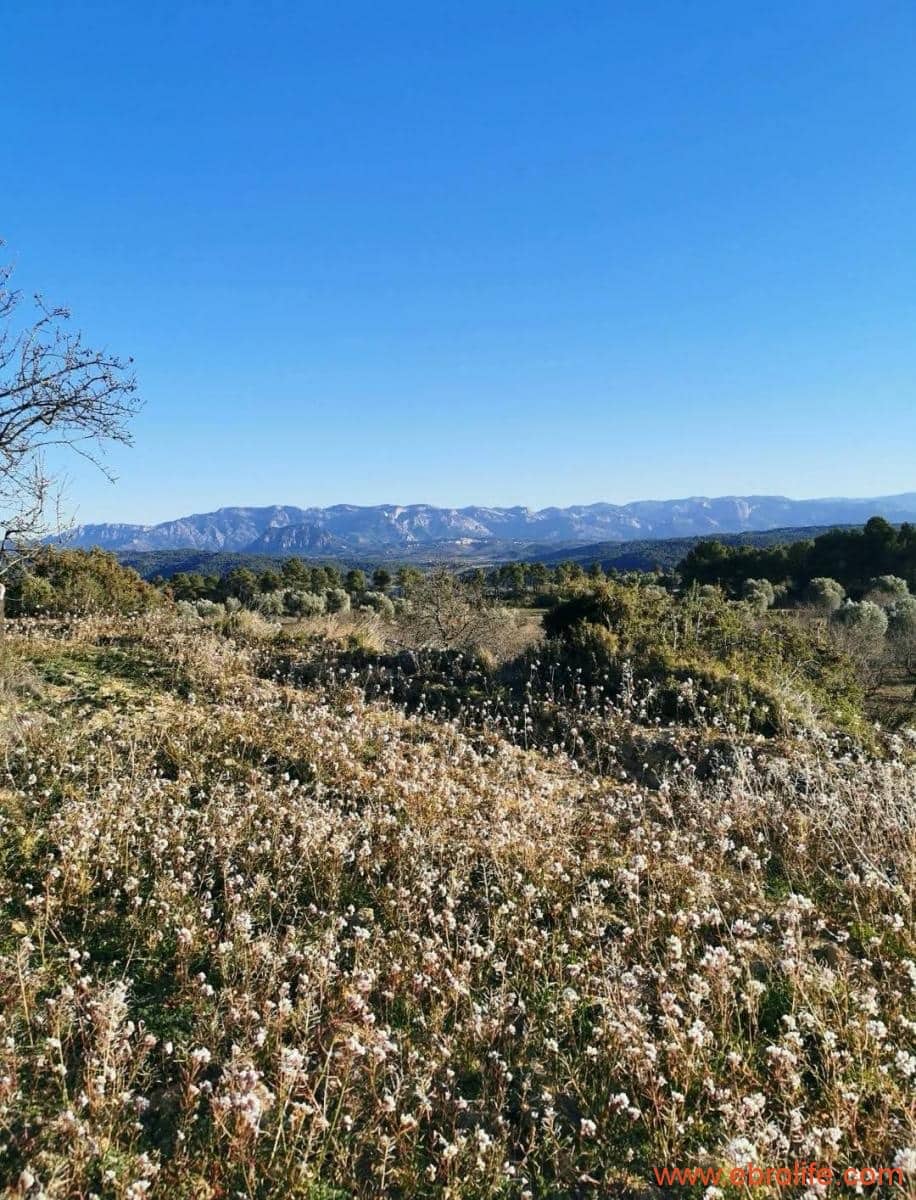 1 soveværelse Finca/Landehus til salg i Arens de Lledo - € 135.000 (Ref: 9095014)