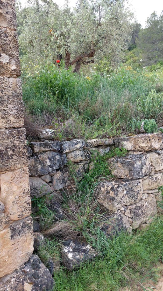 1 soverom Finca/Herregård til salgs i Mazaleon - € 52 000 (Ref: 9095015)