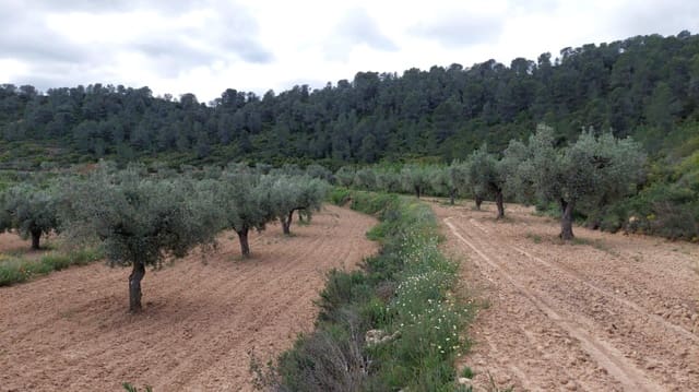 1 soverom Finca/Herregård til salgs i Mazaleón - € 52 000 (Ref: 9095015)