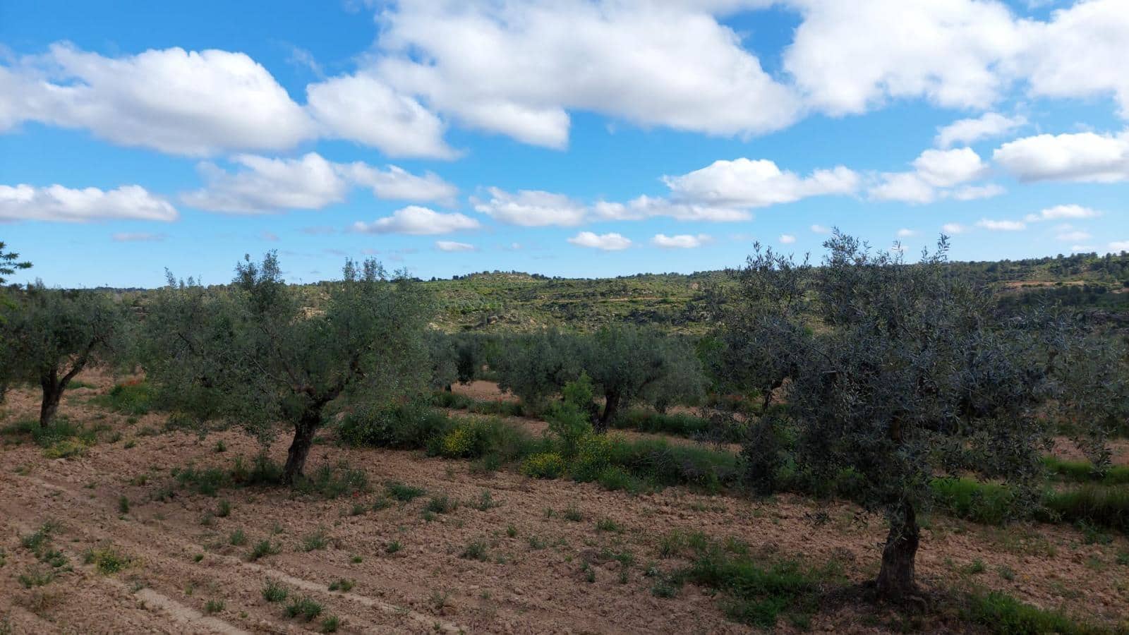 1 soverom Finca/Herregård til salgs i Mazaleon - € 52 000 (Ref: 9095015)