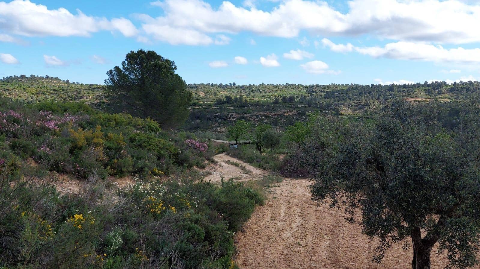 1 soverom Finca/Herregård til salgs i Mazaleon - € 52 000 (Ref: 9095015)