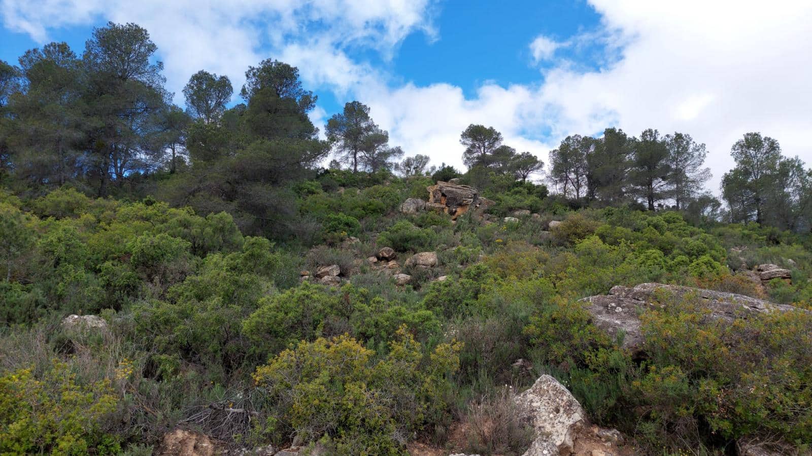 1 soverom Finca/Herregård til salgs i Mazaleon - € 52 000 (Ref: 9095015)