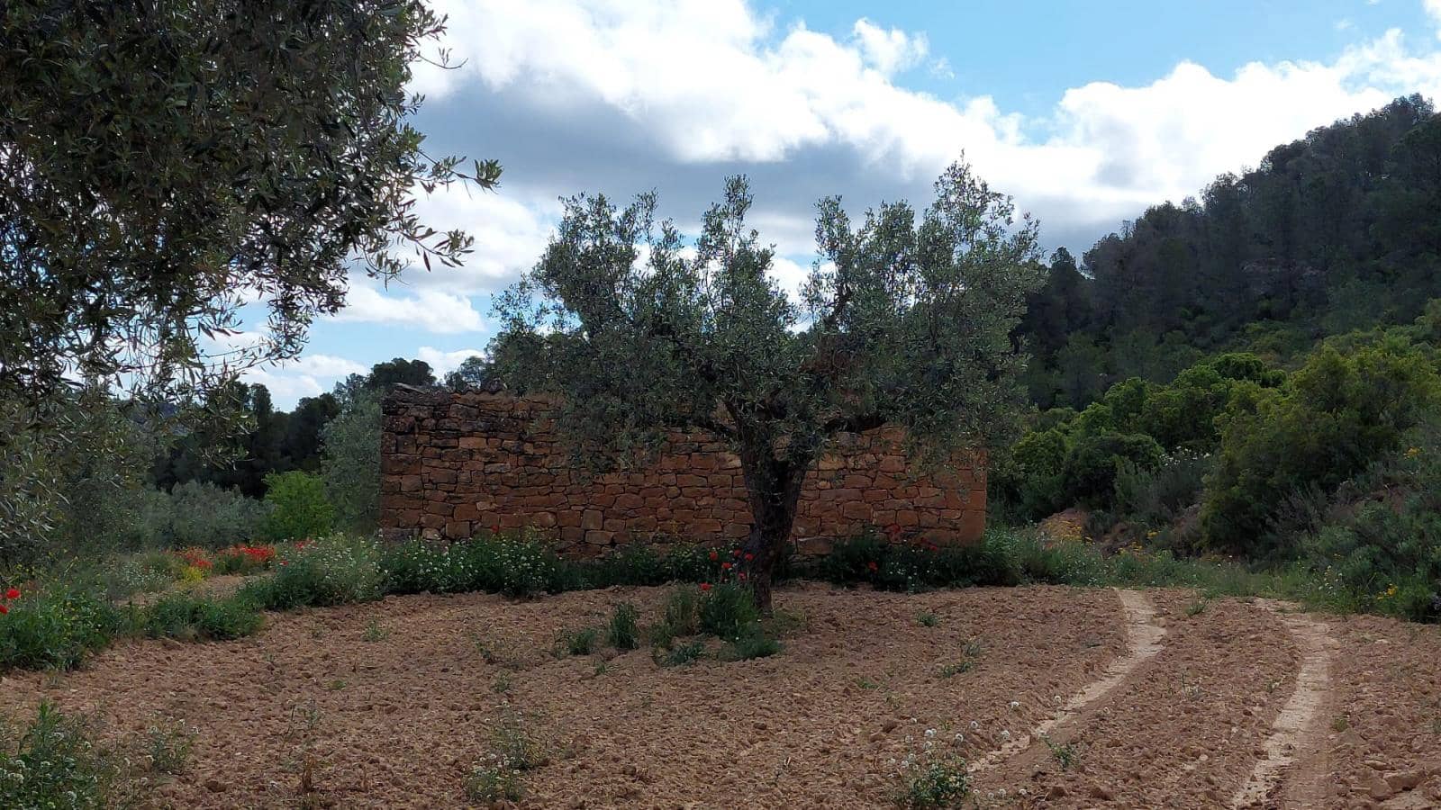 1 soverom Finca/Herregård til salgs i Mazaleon - € 52 000 (Ref: 9095015)